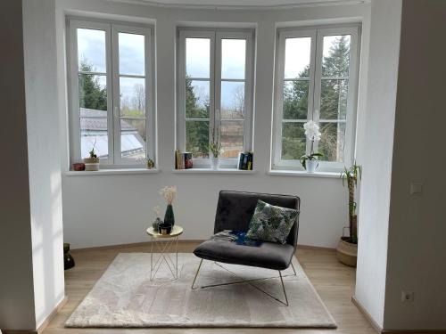 Sankt Polten Apartment | Apartment Hafingervilla