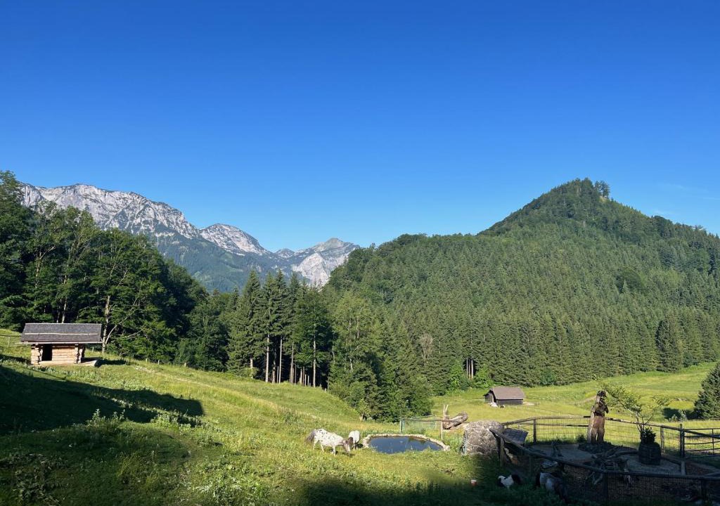 Neukirchen bei Altmunster Apartment | Apartment Hochsteinalm