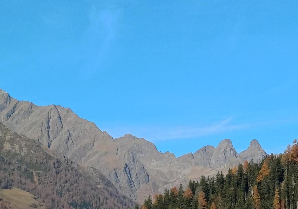 Assling Ski Chalet | Chalets Dolomiti living