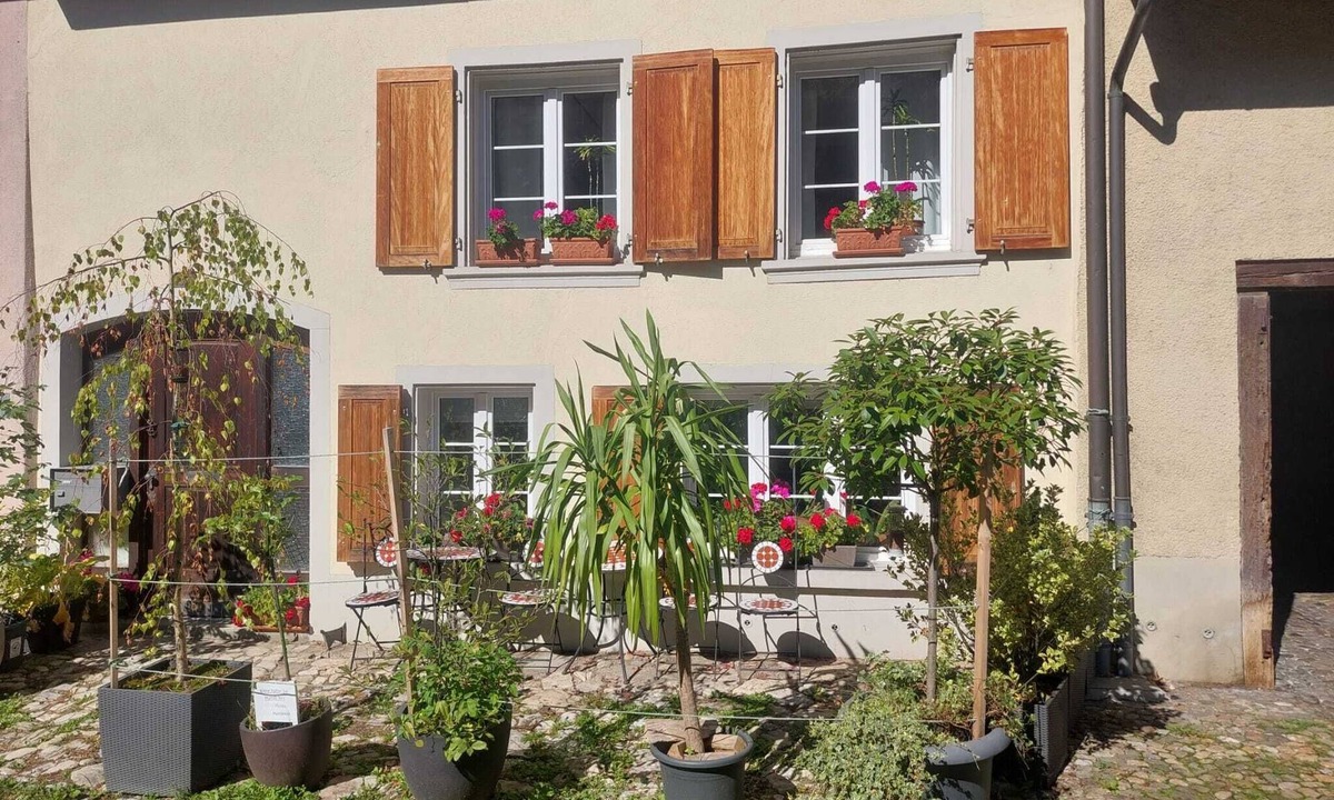 Waldenburg Apartment | Characteristic 18th-century apartment, hiking groups, families