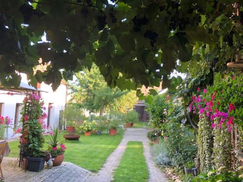 Zemendorf Apartment | Charmantes Cottage Appartement