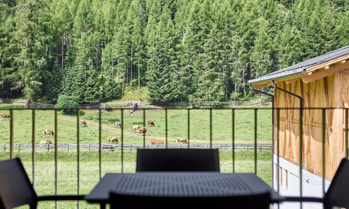 Oberried Apartment | Cosy apartment for 4 guests with WIFI, TV, terrace and pets allowed