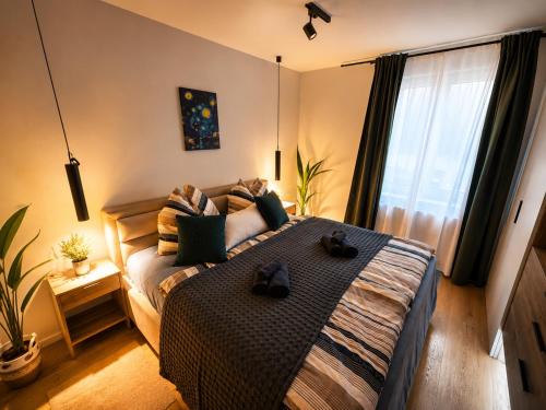Neulerchenfeld Apartment | Cucconi Apartment