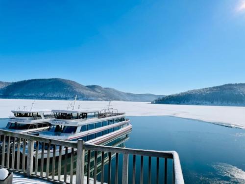 Nieder-Werbe Villa | Edersee-Chalet