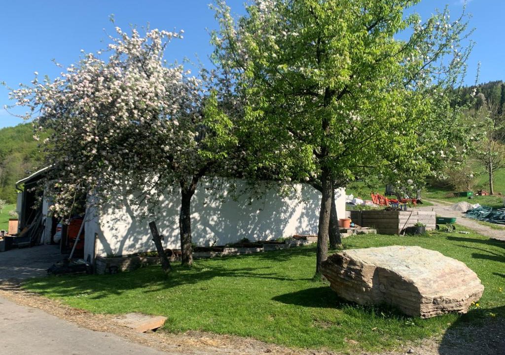 Michelbach Apartment | Ferienwohnung Waldköhlerei
