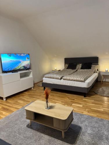 Schallmoos House | Großes Stadt Zimmer