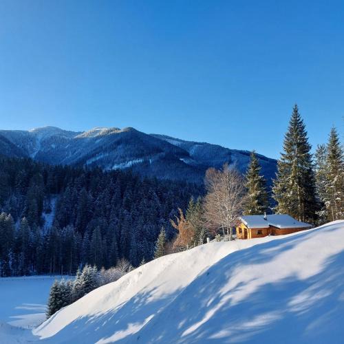 Annaberg im Lammertal House | Hütte Neuhaus