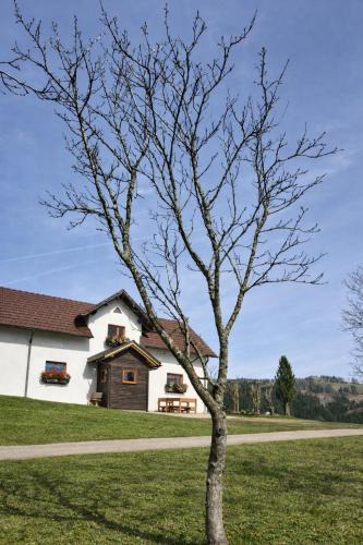 Frankenfels House | Haarstubenhäusl Glückskäfer