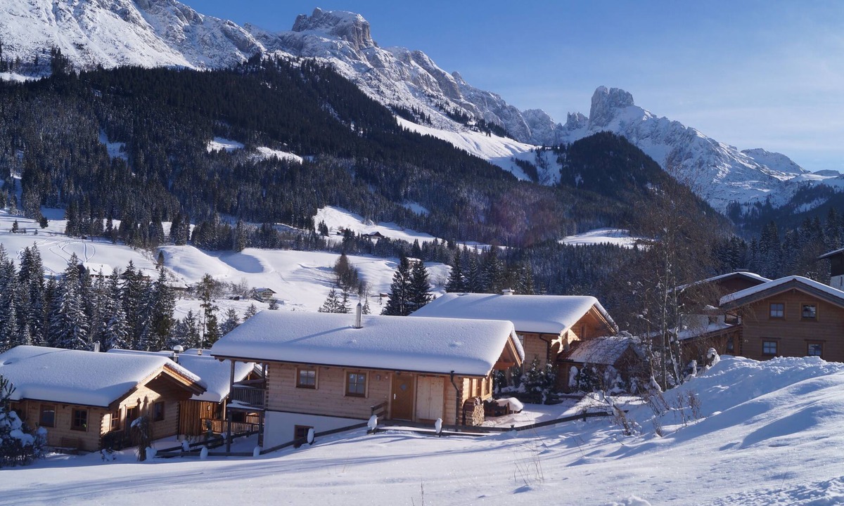 Annaberg im Lammertal House | Haus Boris, pets allowed, on the slopes, mountains, modern furnishings