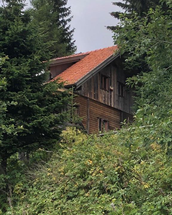 Bad Sankt Leonhard im Lavanttal House | Haus Hanna