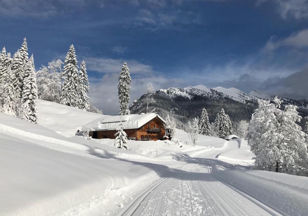 Unken Ski Chalet | Herbst Alm