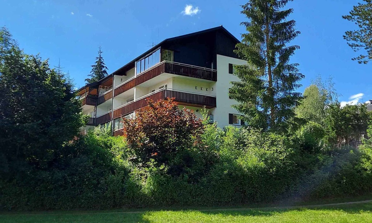 Bad Mitterndorf Apartment | Holiday apartment individual and nice