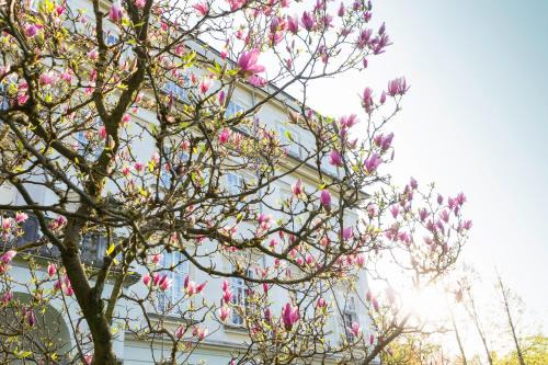 Leopoldskron-Moos Hotel | Hotel Schloss Leopoldskron