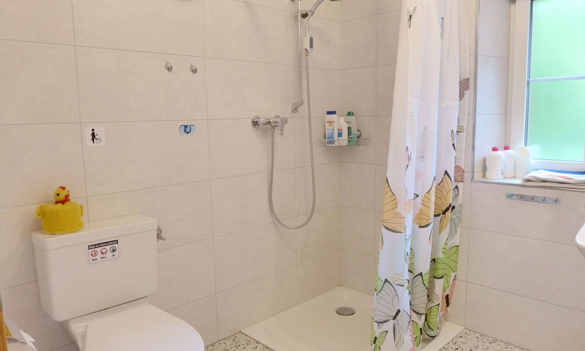 Brienzwiler Apartment | Lovely apartment for 4 guests with WIFI, TV, terrace, pets allowed and panoramic view