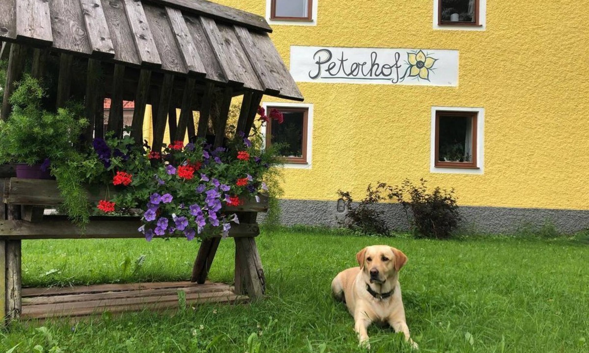 Hinterstoder Apartment | Peterhof - come as a guest & leave as a friend - Charming vacation apartment
