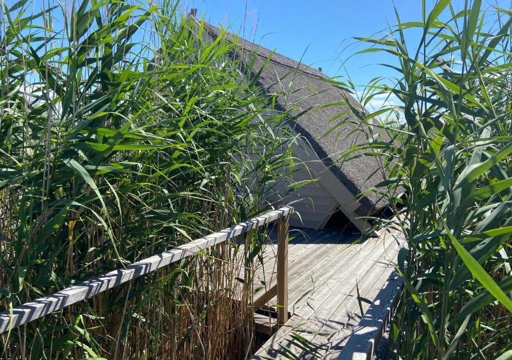 Rust House | Seehütte Pfahlbau-Neusiedlersee-Waterfront 2