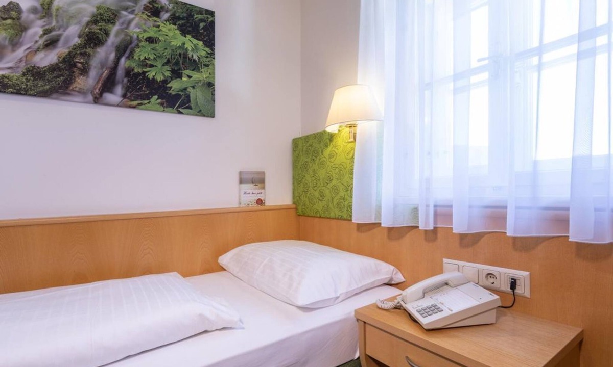 Haus im Ennstal House | Single room B&B - Reiters Wohlfühlhotel