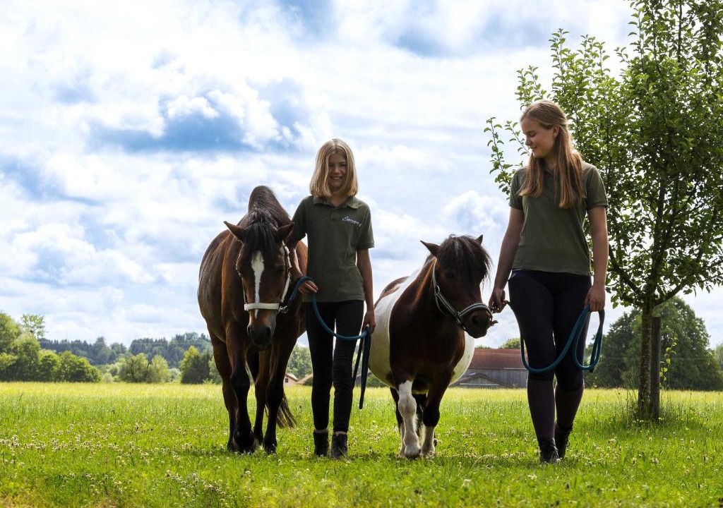Schechen House | Springerhof