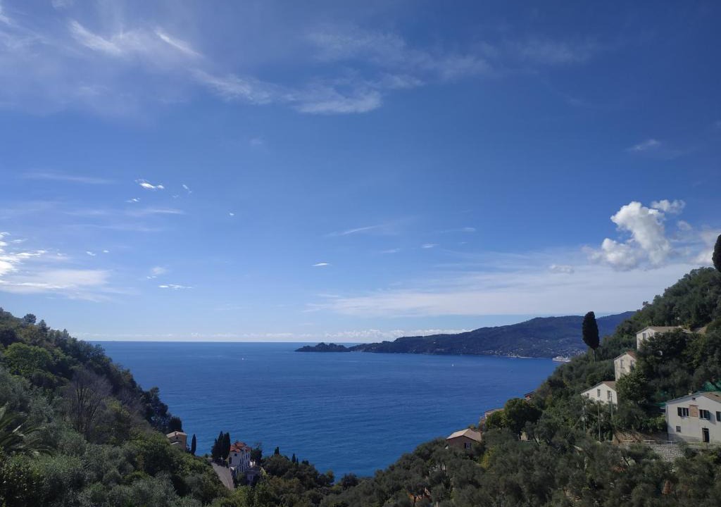 Zoagli Apartment | VILLA BARBARA