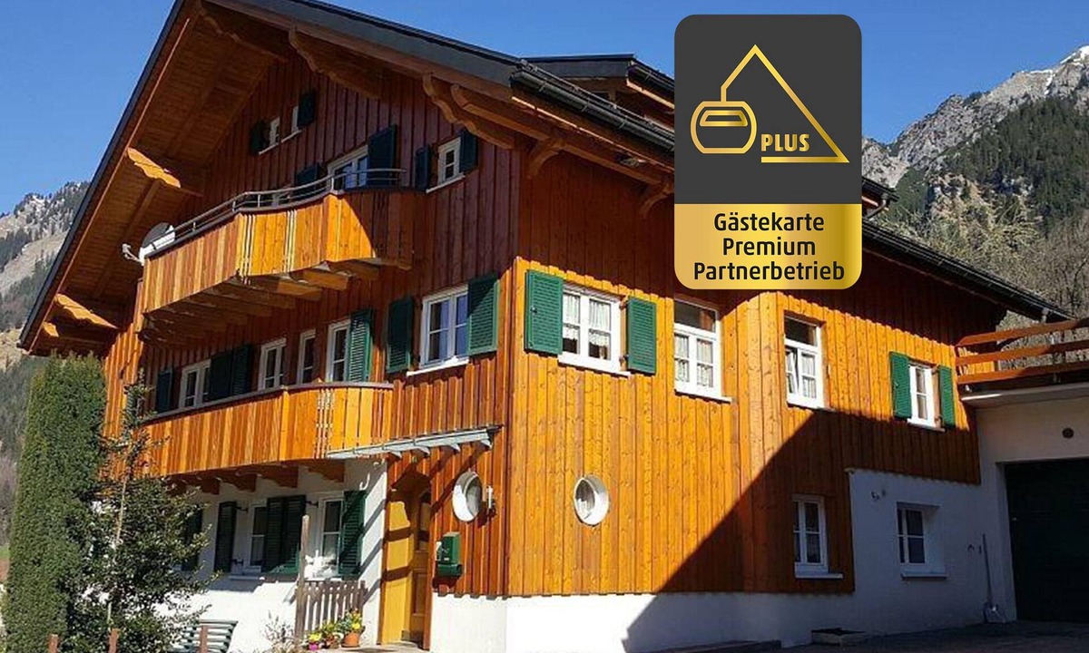 Wald am Arlberg Apartment | Wonderful apartment with fantastic view Top 2 (2nd floor)