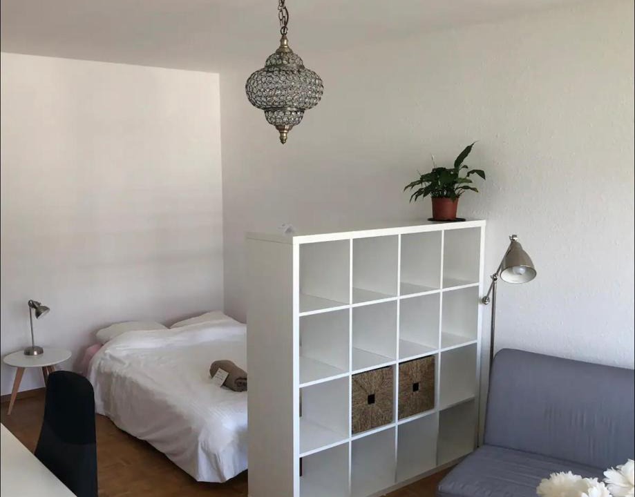 Plainpalais Apartment | wrong annonce