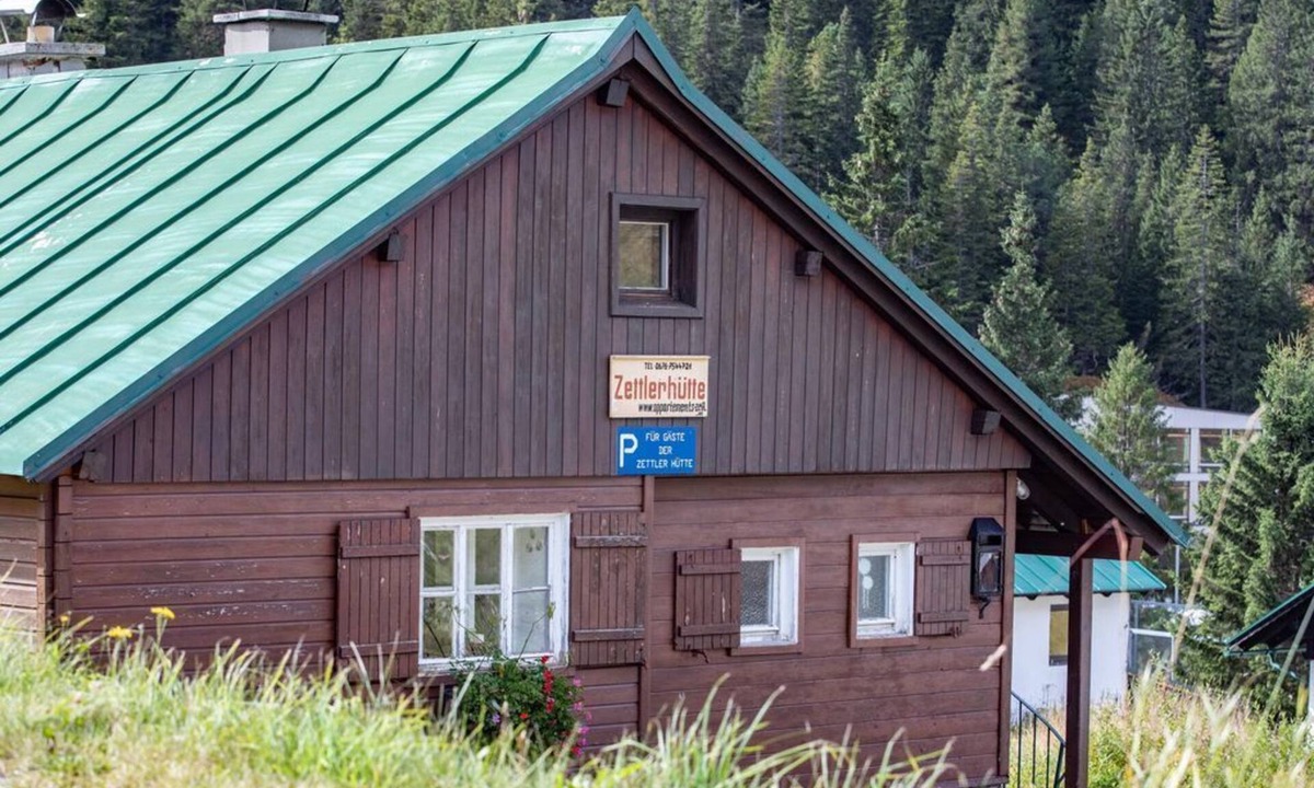Donnersbach Cabin | Zettlerhütte - vacation home/1 bedroom/shower, WC