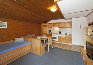 Apartment Brixental in Hopfgarten im Brixental - 5 persons, 2 bedrooms