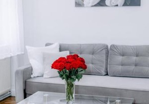 Elegant Vienna Apartment