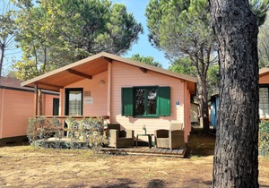 Greenchalets Bungalow Tuscany Viareggio in Viareggio