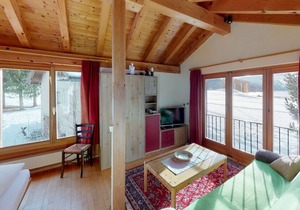 Holiday apartment Surlej for 1 - 2 persons with 1 bedroom - Holiday apartment in Silvaplana