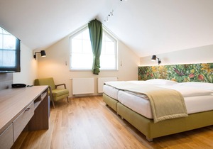 Single room with shower, toilet - The Green Hotel zur Post