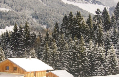 Annaberg im Lammertal House | 3 bedroom accommodation in Annaberg im Lammertal