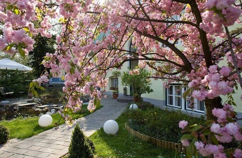 Parsch Hotel | 35 m² Hotel ∙ 1 bedroom ∙ 2 guests
