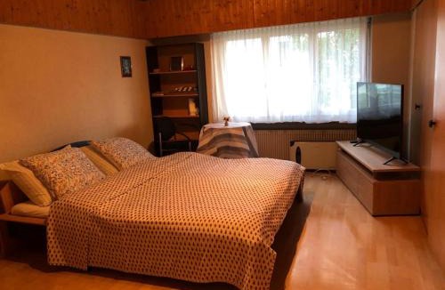 Chur Apartment | Aarons Apartment