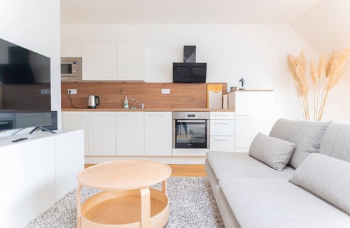 Rudolfsheim-Funfhaus Apartment | Air-conditioned penthouse