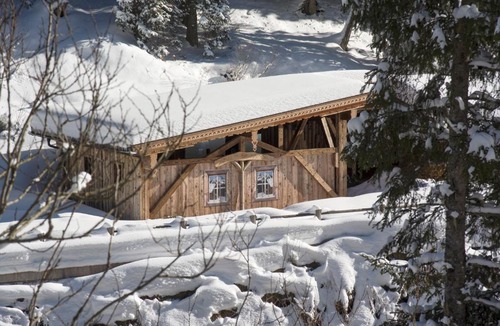 Hochfugen Apartment | Almnest in Hochfügen mit privat SPA