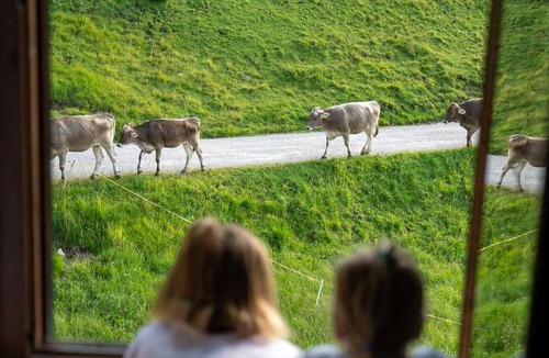 Tauplitzalm Hotel | ALPEN ARNIKA Hotel & Restaurant