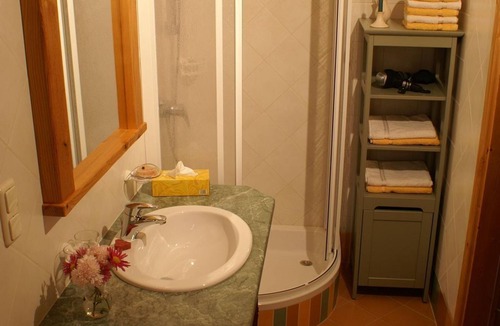Fladnitz an der Teichalm Other | Apartment 55 m² (1 night) - AlmenLandhof