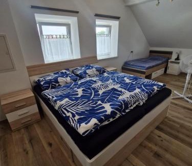 Gaspoltshofen House | Apartment