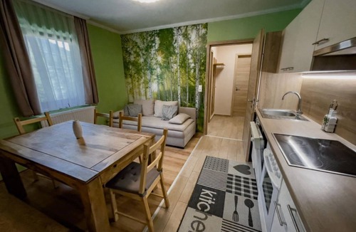 Sankt Oswald Apartment | Apartment/flat, shower, WC, river view - Nockalm Cottage