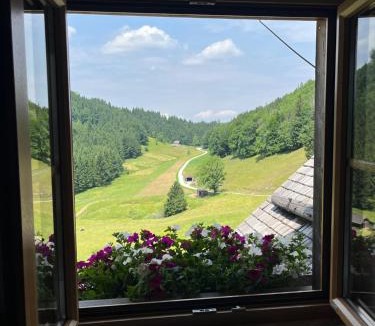 Neukirchen bei Altmunster Apartment | Apartment Hochsteinalm