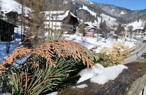 Sankt Oswald Apartment | Apartment Moni/Golf & Ski - TOP 9 - Apartment Moni/Golf & Ski Top 9