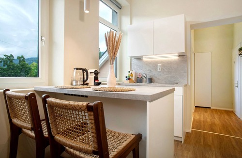 Bregenz Apartment | Apartment 'Sonnenblick Bregenz' with Mountain View and Wi-Fi