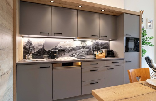 Haus im Ennstal Apartment | Apartment with sauna including summer card