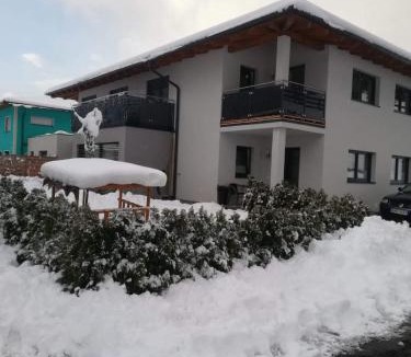 Eben im Pongau Apartment | Appartement Gschwandtner