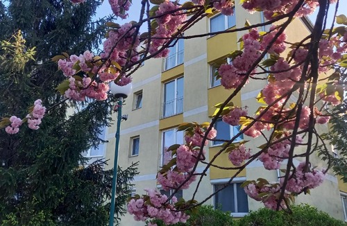 Ebenfurth Apartment | Appartement - Wohnung SEEROSE 50 m2 Neufeldersee