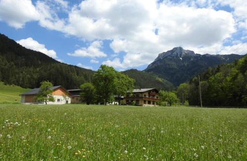 Kernhof Apartment | Bauernhof Moar