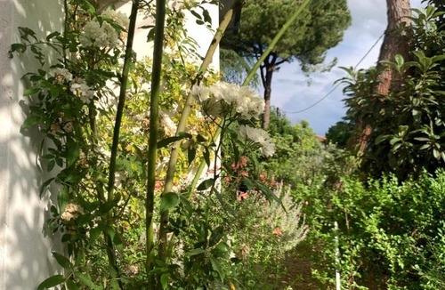 Santarcangelo di Romagna Apartment | Beau Rivage - Room Studio in villa