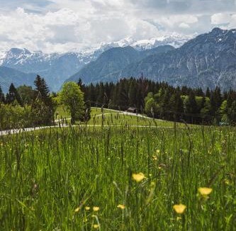 Bad Goisern Hotel | Berghotel Predigstuhl