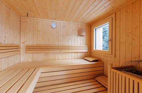 Schonberg Apartment | Bergresort Lachtal by ALPS RESORTS